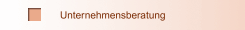 Unternehmensberatung